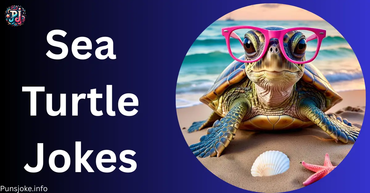 sea-turtle-jokes