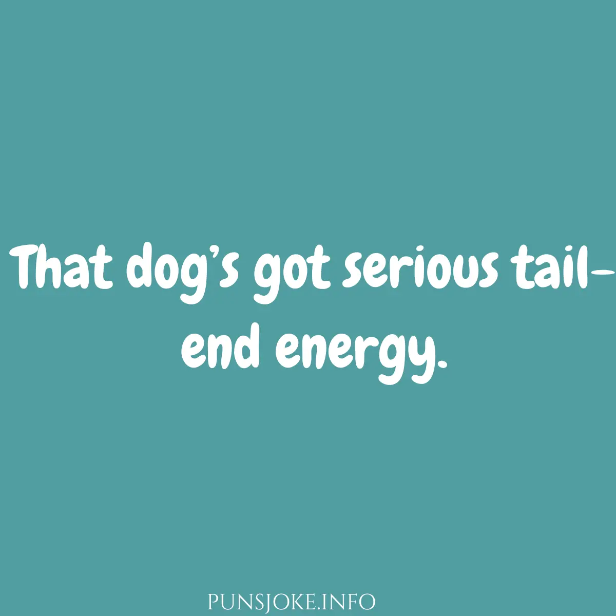 rear-ly-funny-animal-butt-puns