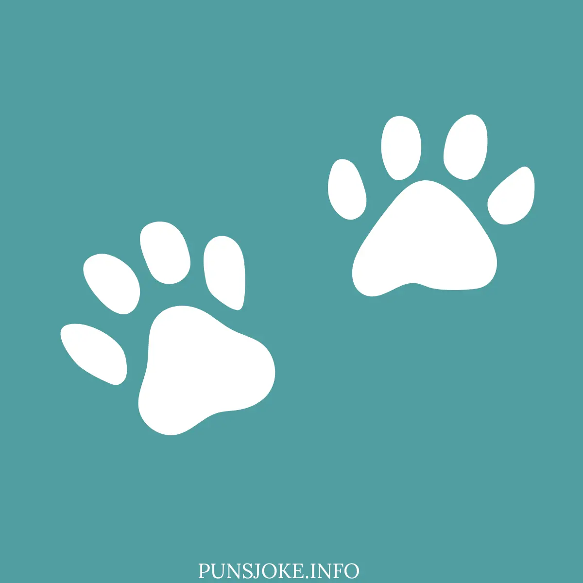 paw-sitively-funny-panda-puns-for-everyone
