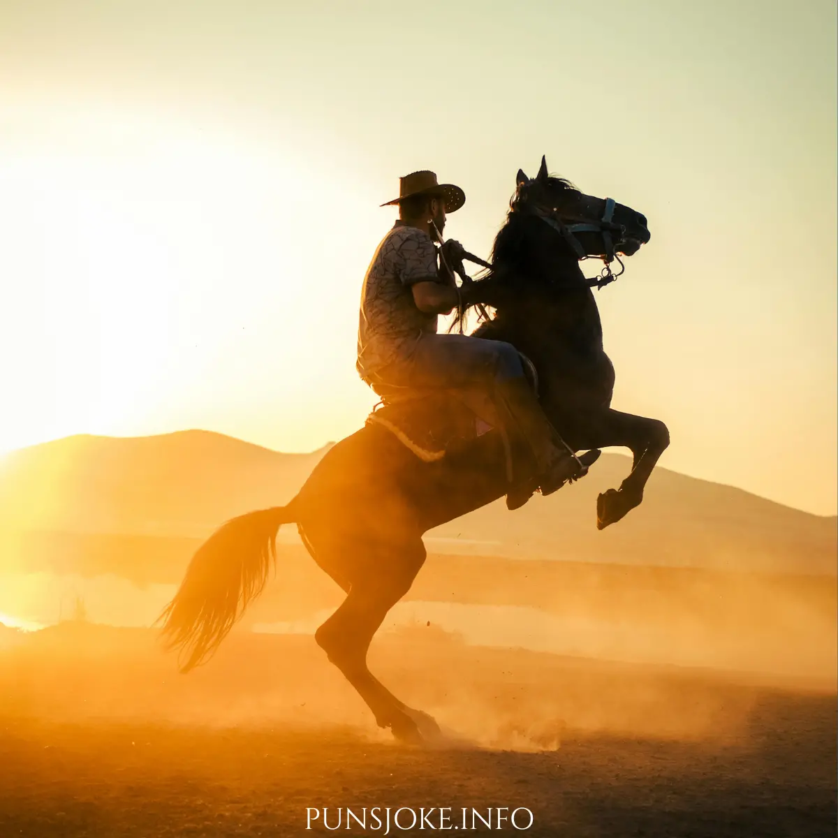 cowboy-puns-funny-captions