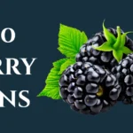 berry-puns