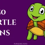 turtle-puns