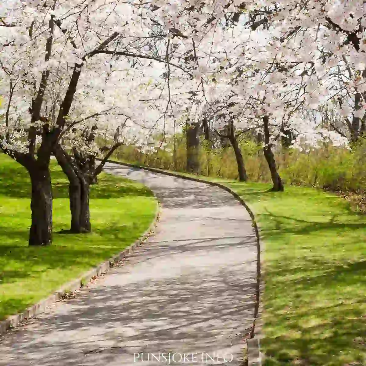 best-spring-jokes