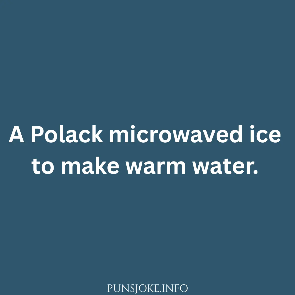 the-funniest-dumb-polack-jokes-ever-told