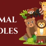 animal-riddles