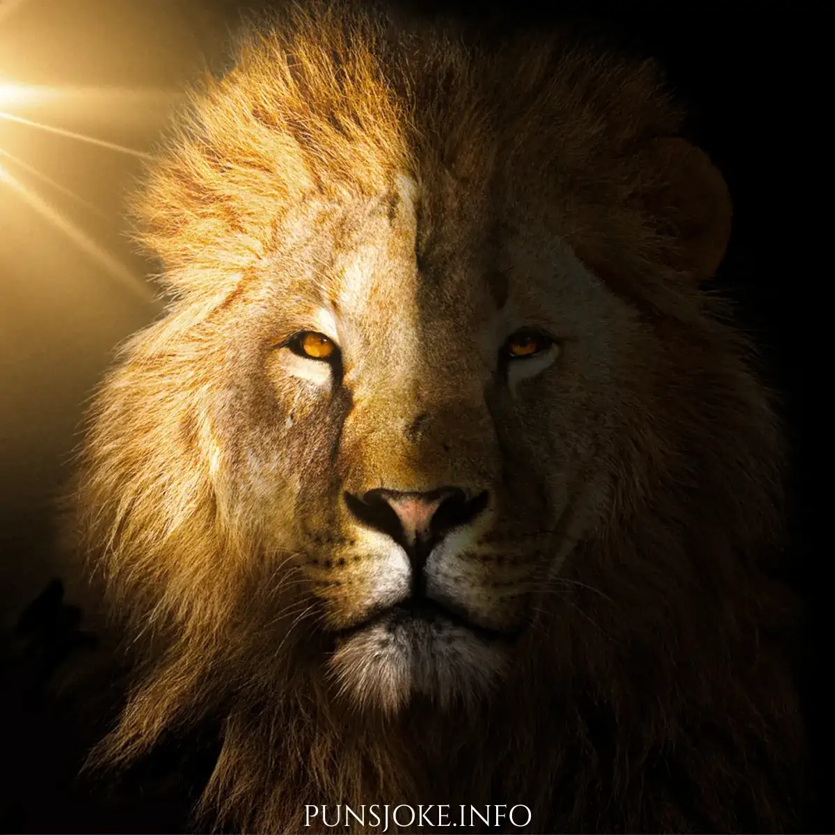 best-lion-puns