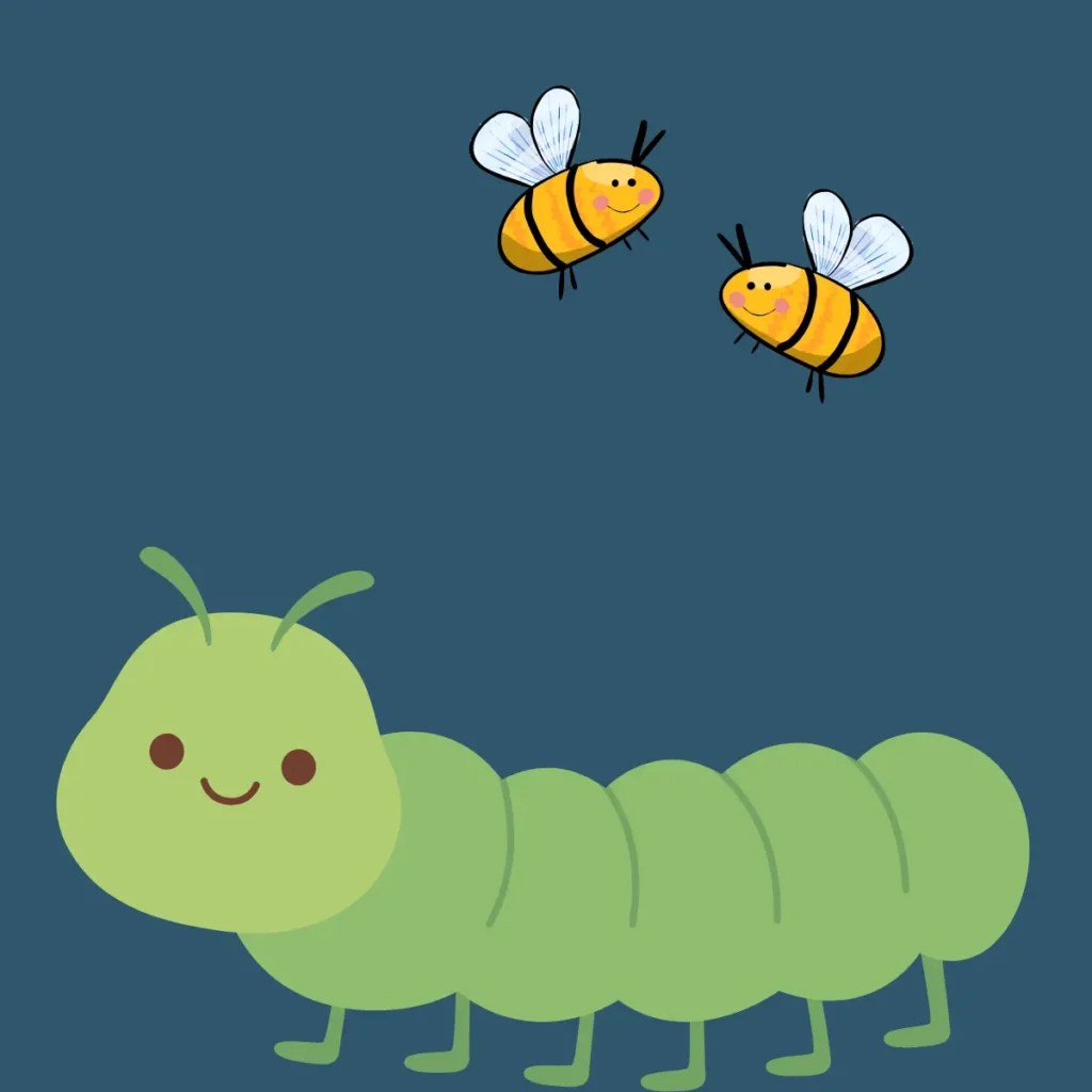 insect-and-bug-riddles