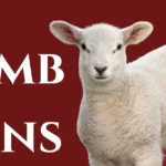 lamb-puns