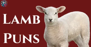lamb-puns