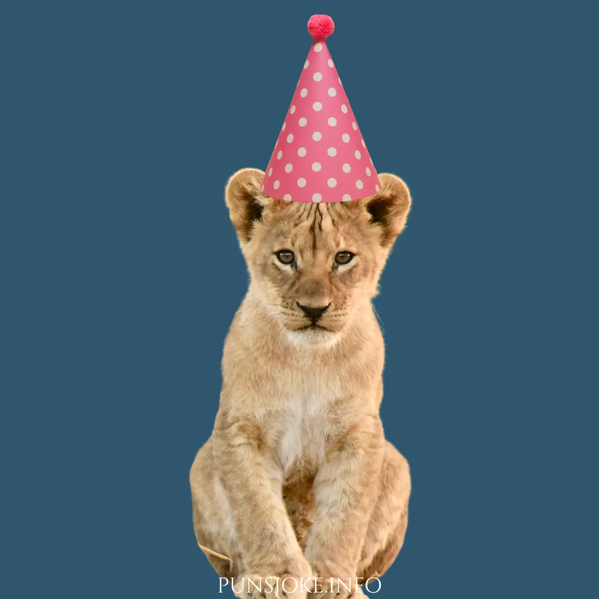 lion-puns-birthday