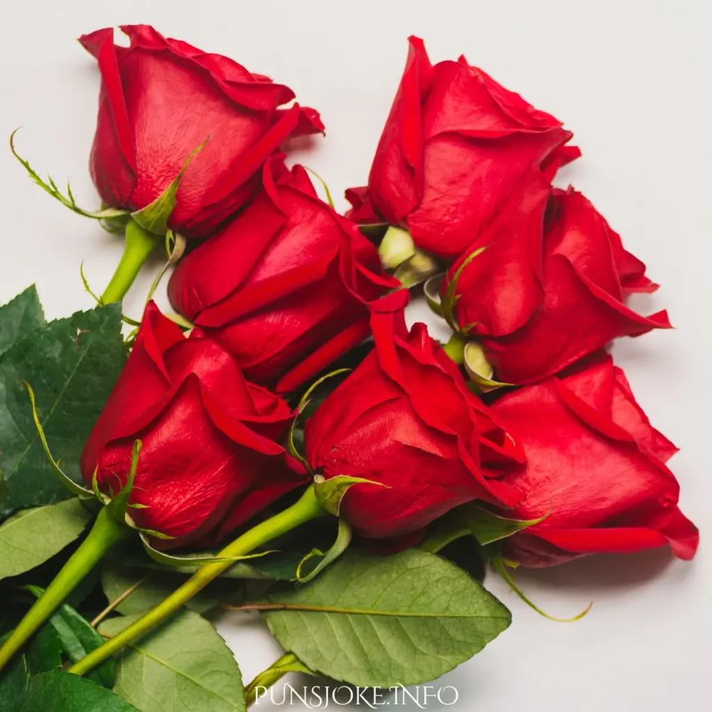 rose-instagram-captions-for-bouquets