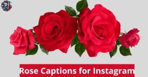 rose-captions-for-instagram