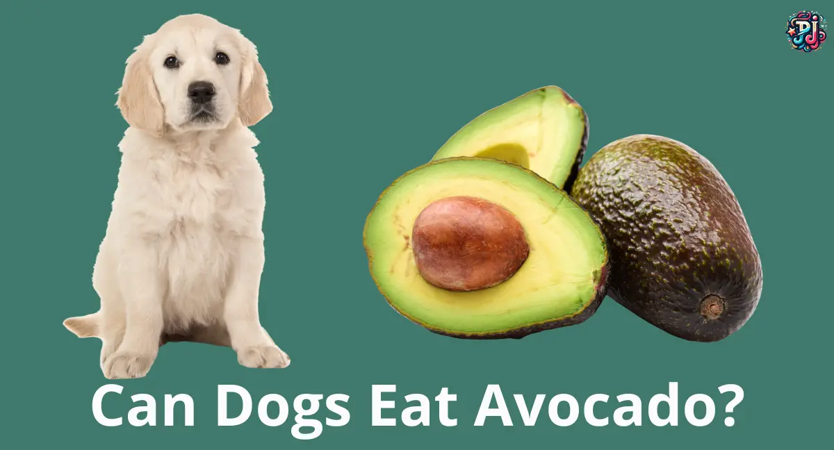 Can Dogs Eat Avocado